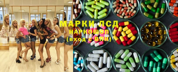стафф Богородицк
