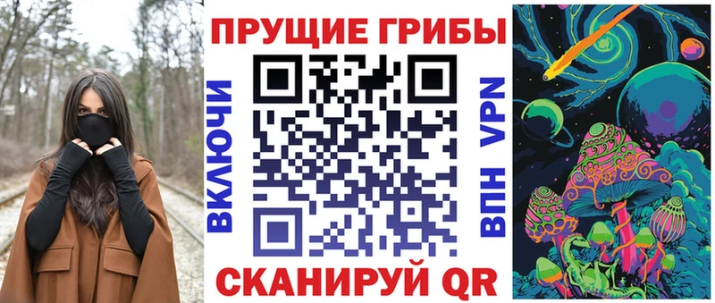 Псилоцибиновые грибы ЛСД  Купить где  Карачаевск 